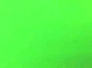 河南KS-11 荧光绿
