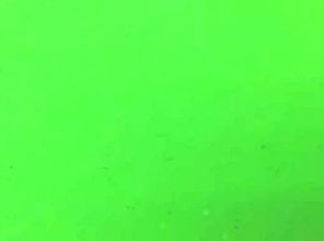 KS-11 荧光绿